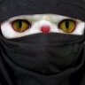 Кот Джила