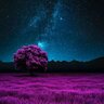 .Lacedaemon