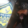 pipaaaa