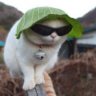 chill out