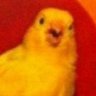 lilpeep3451