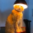 lampa