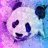 panda.piter.83