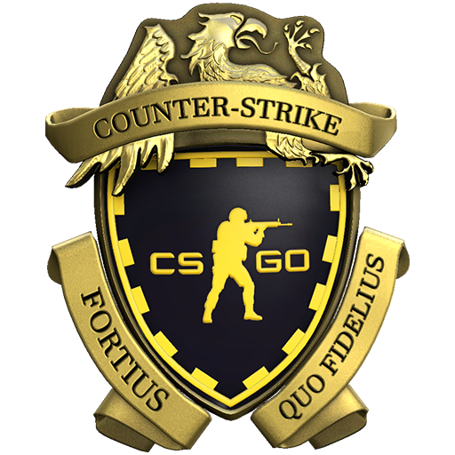 Участник Турнира по CSGO